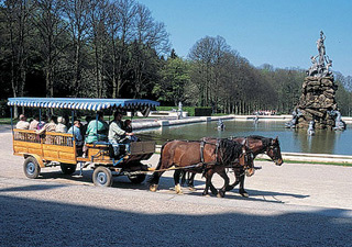 Picture: Carriage on Herrenchiemsee Island