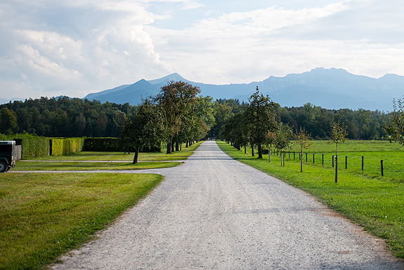 Bild: Kiesweg im Schlosspark