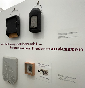 Bild: Fledermaus-Ausstellung im Neuen Schloss Herrenchiemsee